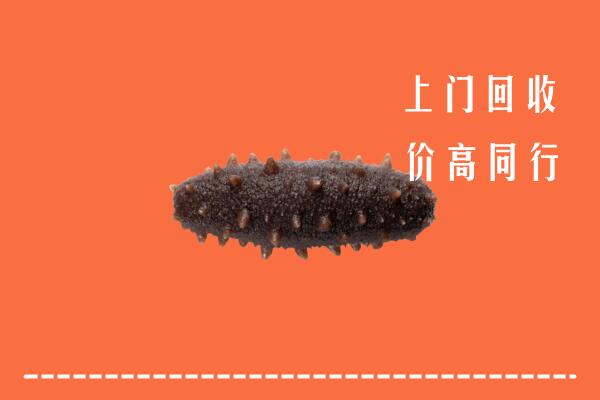 儋州高价回收海参